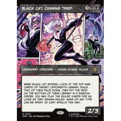 Black Cat, Cunning Thief