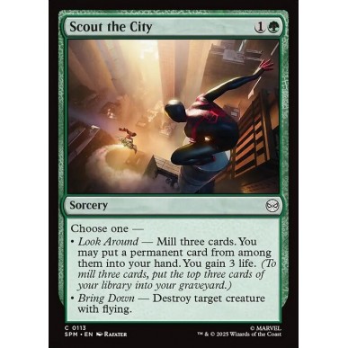 Scout the City