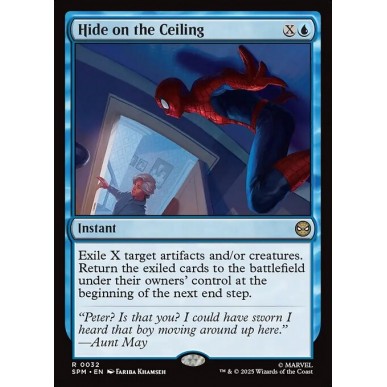Hide on the Ceiling