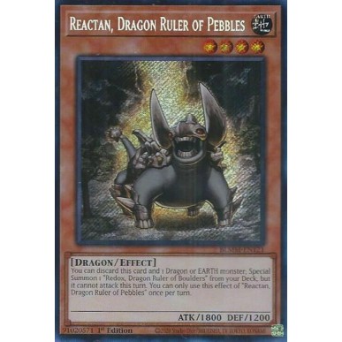 Reactan, Drago Sovrano dei Sassolini