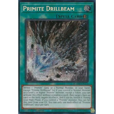 Trapanoraggio Primite