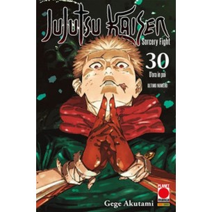 Jujutsu Kaisen - Sorcery Fight 30