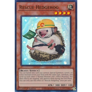 Porcospino da Soccorso