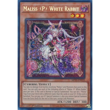 Maliss P Coniglio Bianco