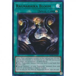 Fioritura Ragnaraika