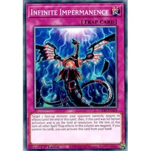 Impermanenza Infinita