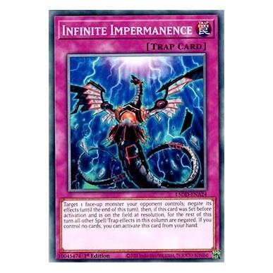 Impermanenza Infinita