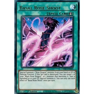 Virgulto Rosa Basale