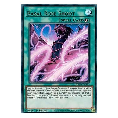 Virgulto Rosa Basale