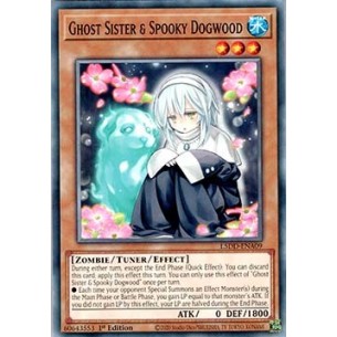 Sorella Fantasma & Corniolo...