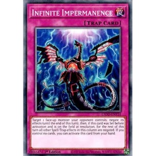 Impermanenza Infinita