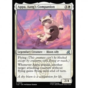 Appa, Compagno di Aang