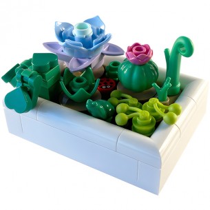 LEGO Botanicals - Mini Giardino del Deserto 2