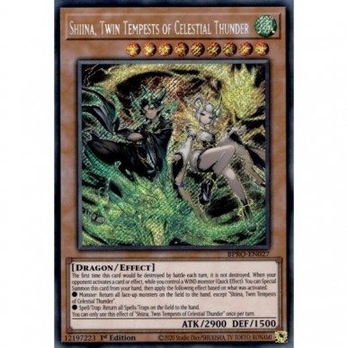Shiina, Tempeste Gemelle del Tuono...