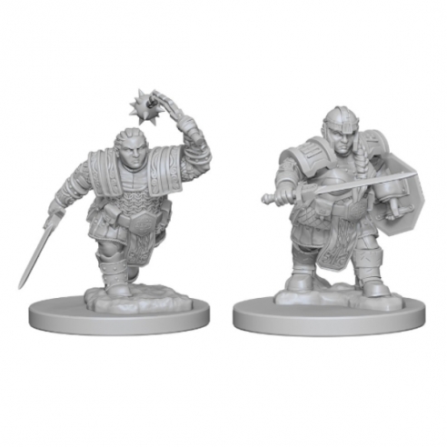 Nolzur's Marvelous Miniatures - Dwarf Female Fighter Miniature