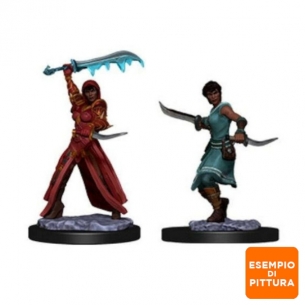 Nolzur's Marvelous Miniatures - Human Female Rogue Miniature 2