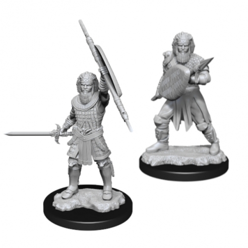 Nolzur's Marvelous Miniatures - Human Male Fighter Miniature Dungeons & Dragons