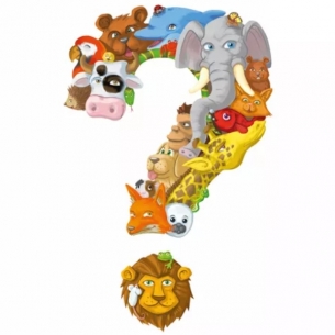 Concept - Kids Animali Giochi per Bambini 2