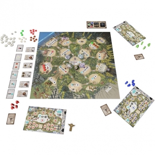 Neta-Tanka (ENG) Giochi per Esperti 2