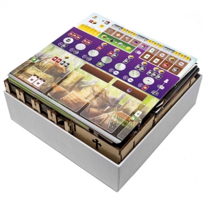 Visconti del Regno Occidentale + Espansione Cronache del Regno Occidentale - Inserto (Accessori) Inserti 2