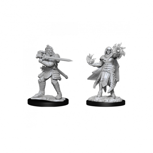 Nolzur's Marvelous Miniatures - Hobgoblin Fighter Male & Hobgoblin Wizard Female Miniature Dungeons & Dragons