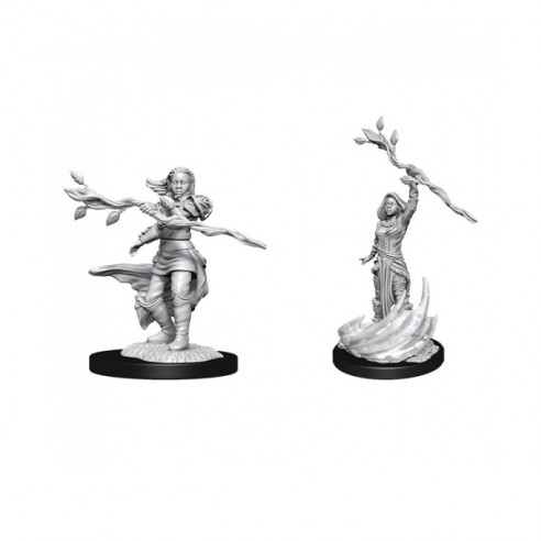 Nolzur's Marvelous Miniatures - Human Druid Female Miniature Dungeons & Dragons