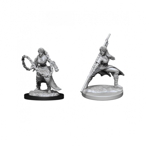 Nolzur's Marvelous Miniatures - Human Monk Female Miniature Dungeons & Dragons