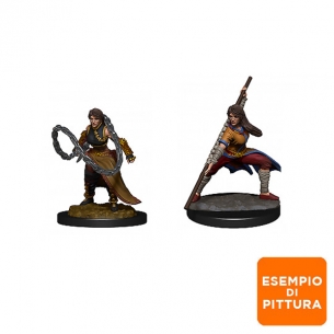 Nolzur's Marvelous Miniatures - Human Monk Female Miniature Dungeons & Dragons 2