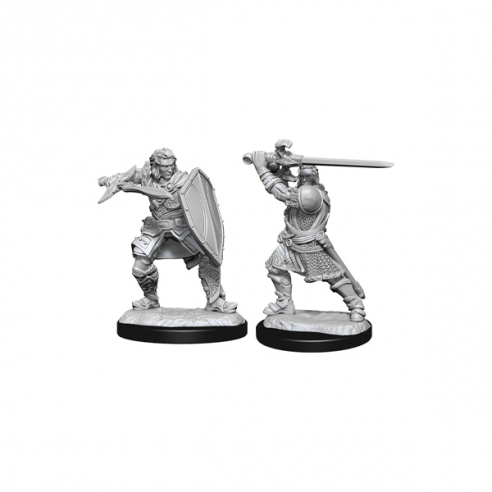 Nolzur's Marvelous Miniatures - Human Paladin Male Miniature Dungeons & Dragons