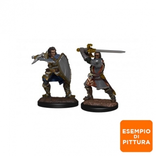 Nolzur's Marvelous Miniatures - Human Paladin Male Miniature Dungeons & Dragons 2