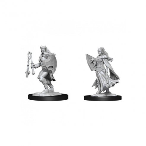 Nolzur's Marvelous Miniatures - Kalashtar Cleric Female Miniature Dungeons & Dragons Nolzur's Marvelous Miniatures - Kalashtar Cleric Female Miniature Dungeons & Dragons