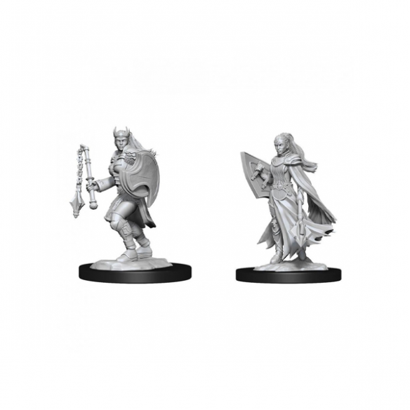 Nolzur's Marvelous Miniatures - Kalashtar Cleric Female Miniature Dungeons & Dragons Nolzur's Marvelous Miniatures - Kalashtar Cleric Female Miniature Dungeons & Dragons
