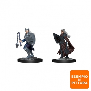 Nolzur's Marvelous Miniatures - Kalashtar Cleric Female Miniature Dungeons & Dragons 2