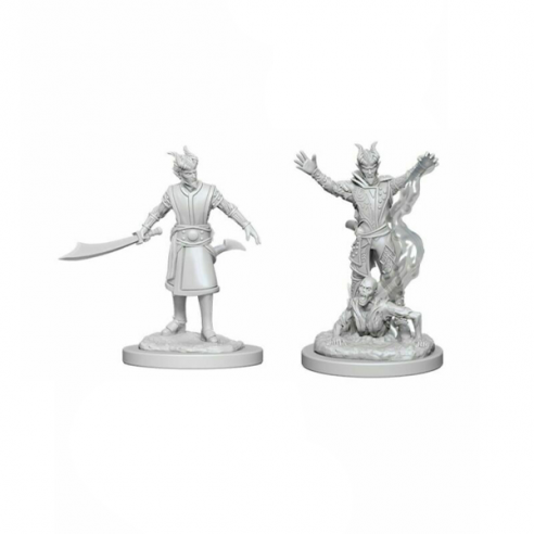 Nolzur's Marvelous Miniatures -...