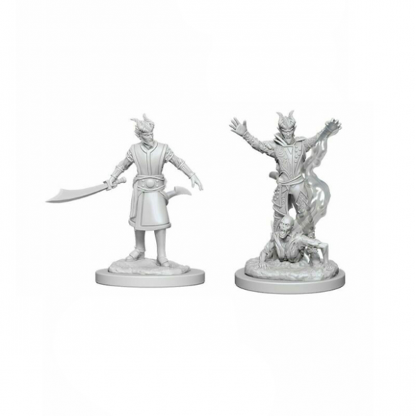 Nolzur's Marvelous Miniatures - Tiefling Male Warlock Miniature Dungeons & Dragons