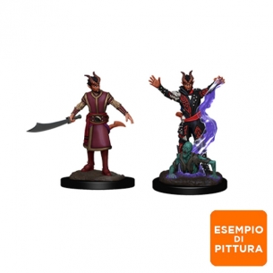 Nolzur's Marvelous Miniatures - Tiefling Male Warlock Miniature Dungeons & Dragons 2