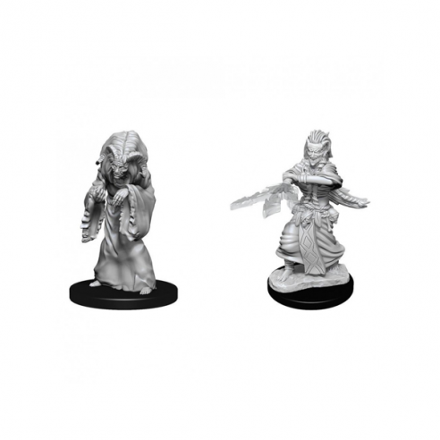 Nolzur's Marvelous Miniatures - Night Hag & Dusk Hag Miniature Dungeons & Dragons