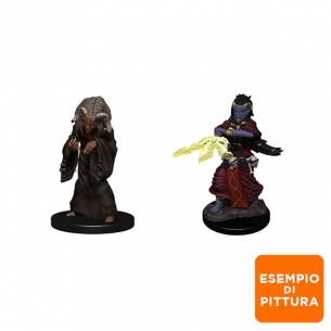 Nolzur's Marvelous Miniatures - Night Hag & Dusk Hag Miniature Dungeons & Dragons 2