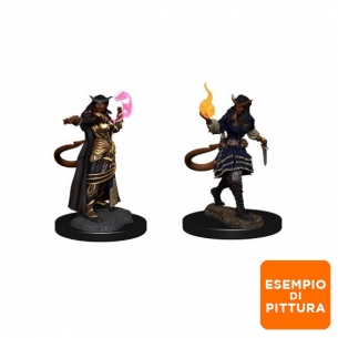Nolzur's Marvelous Miniatures - Tiefling Sorcerer Female Miniature Dungeons & Dragons 2