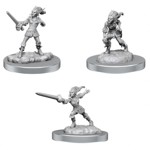 Nolzur's Marvelous Miniatures -...