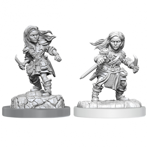 Nolzur's Marvelous Miniatures -...