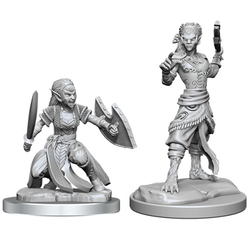 Nolzur's Marvelous Miniatures - Shifter Fighters