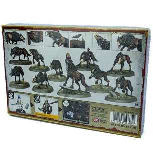 Soulblight Gravelords - Dire Wolves (3a Edizione) 2