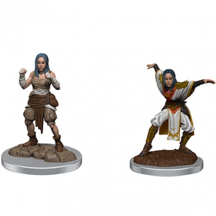 Deep Cuts Miniatures - Half-elf Monk Female 2
