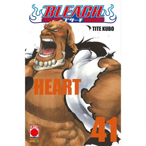 Bleach 41 - Terza Ristampa