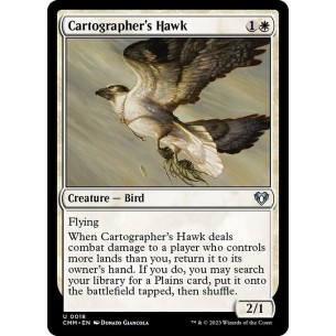 Cartographer's Hawk