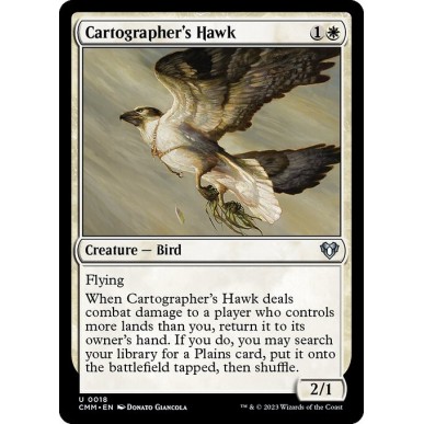 Cartographer's Hawk