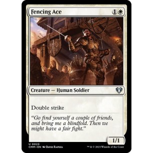 Fencing Ace
