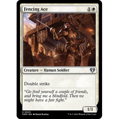 Fencing Ace