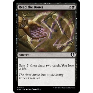 Read the Bones
